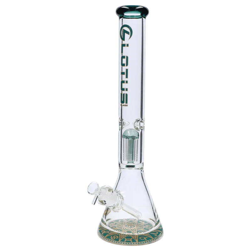 dailyhighclub2964638