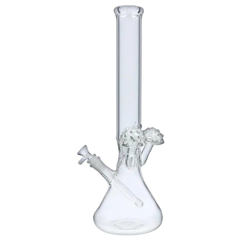 dailyhighclub2970299