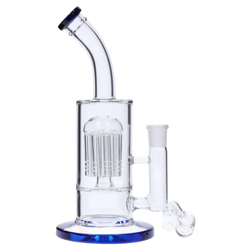 dailyhighclub2973821
