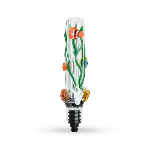 dailyhighclub2983136