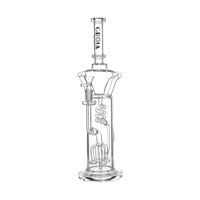 dailyhighclub3004961