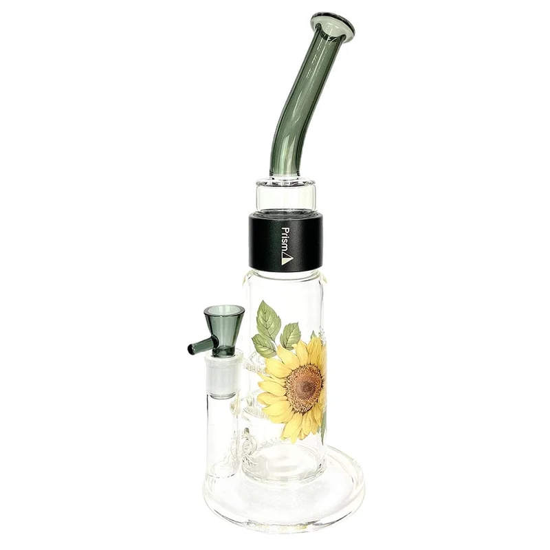 dailyhighclub3007942