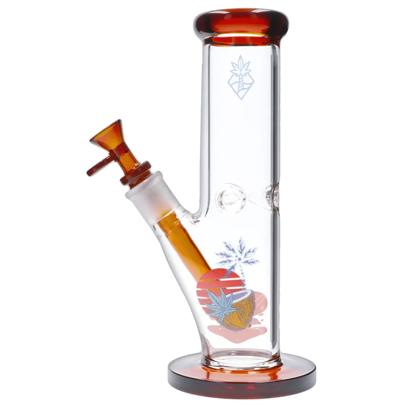 dailyhighclub3010417