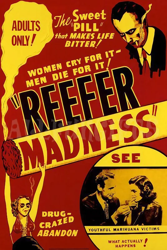 dankgeek3098479