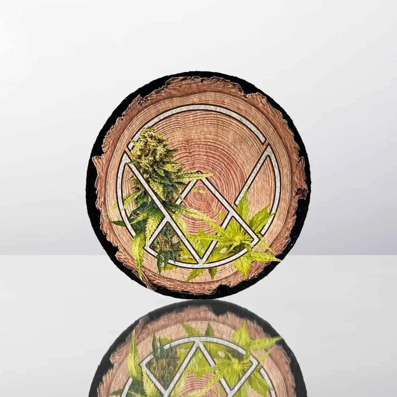 dankgeek3331640