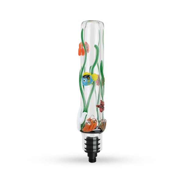 headshop2880238