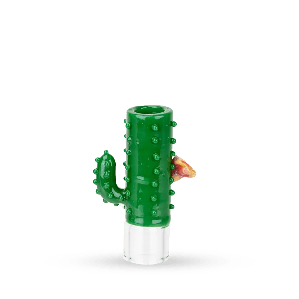 headshop2880374
