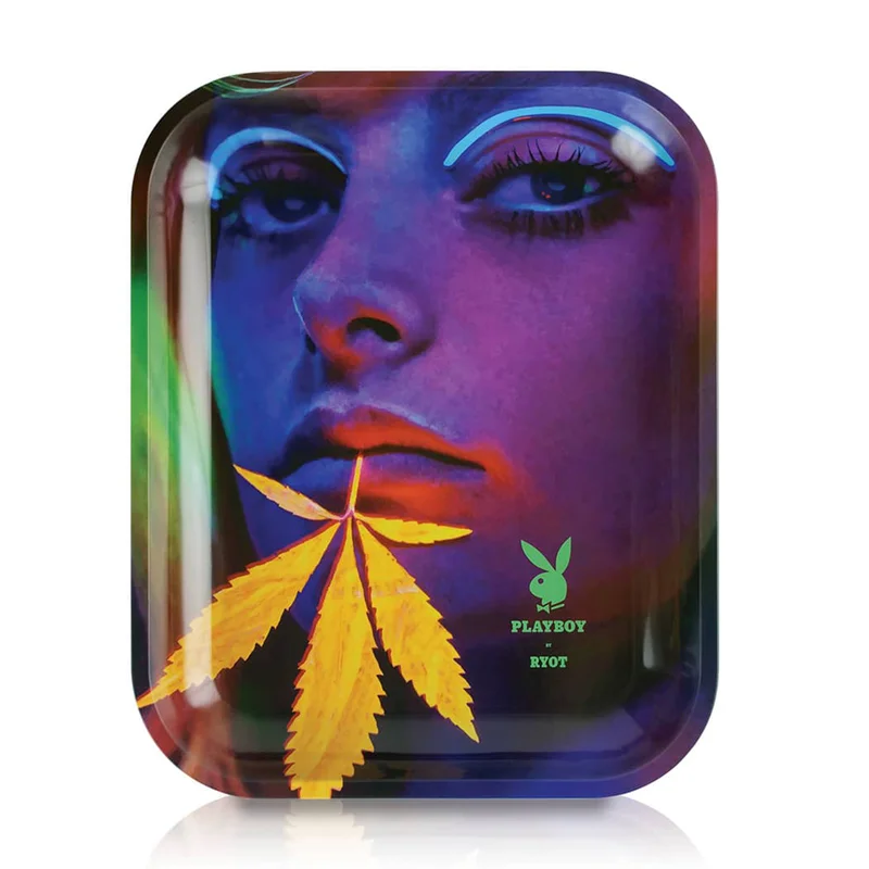 headshop2896480