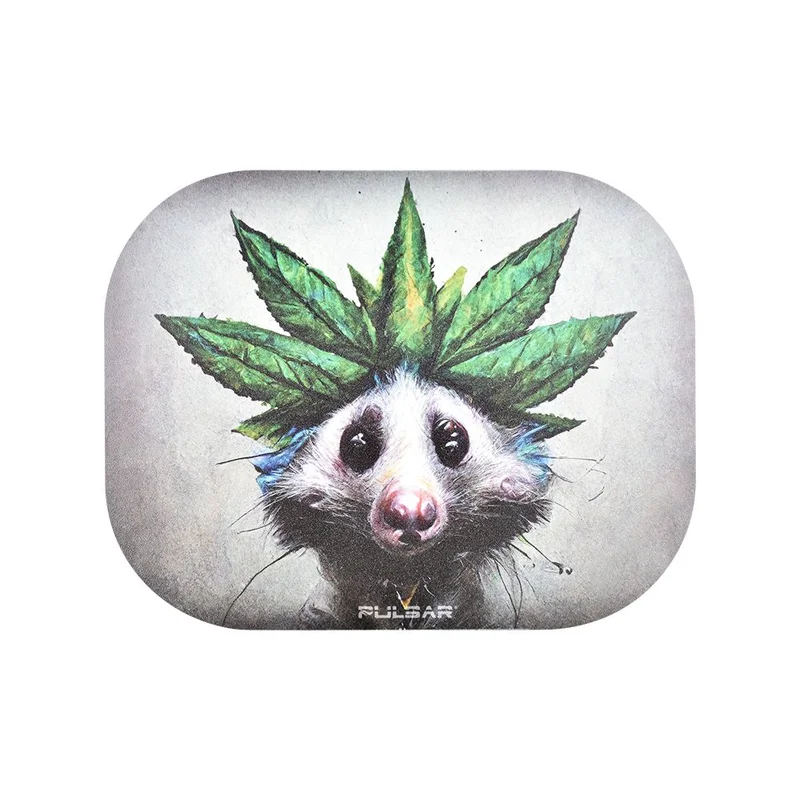 headshop2906943
