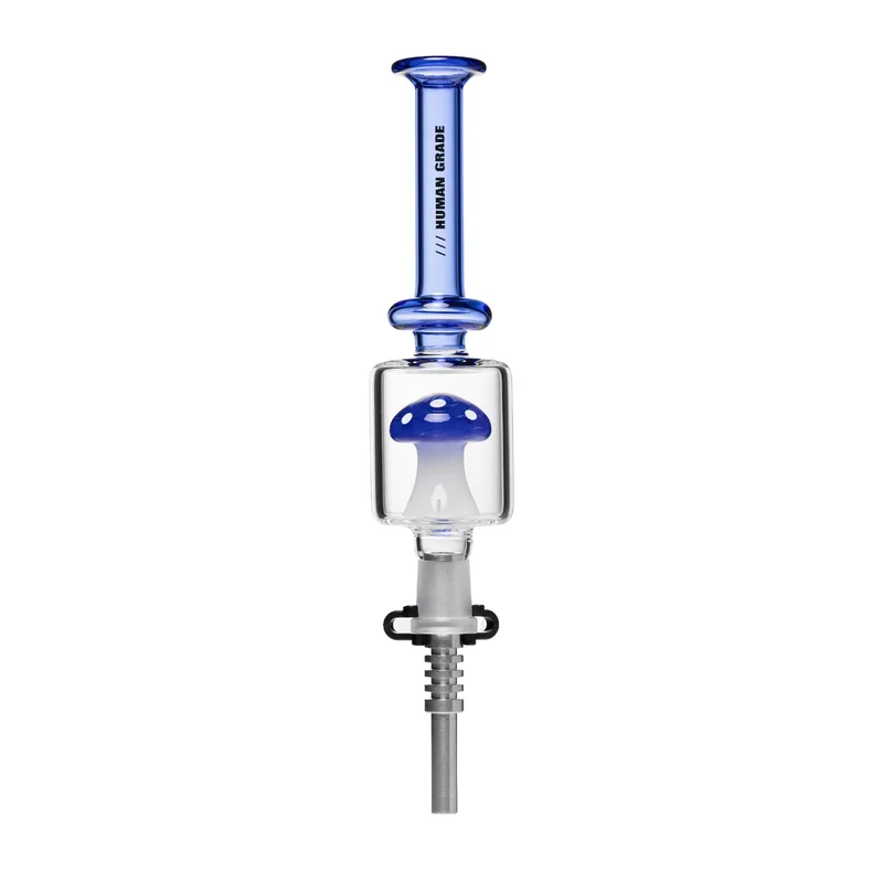 headshop2951674