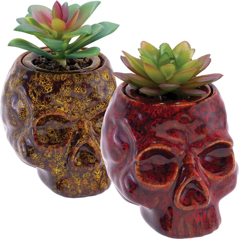 headshop2967058
