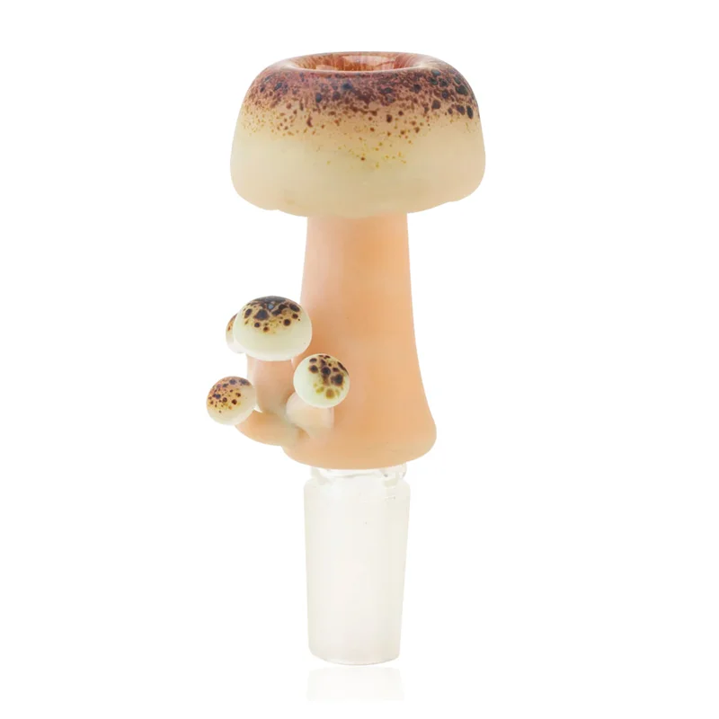 headshop2969893