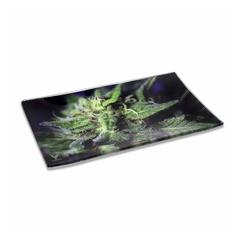 headshop2985644