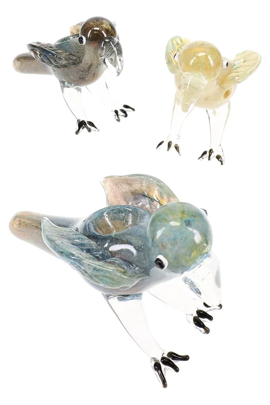primateglass2935328