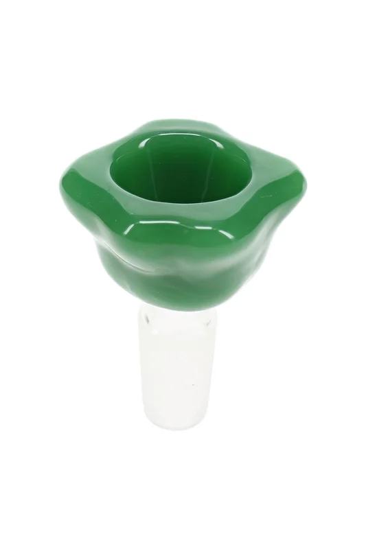 primateglass2956996