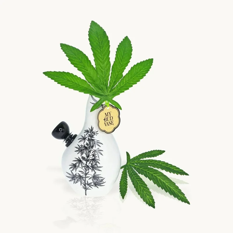 stokedct2801771