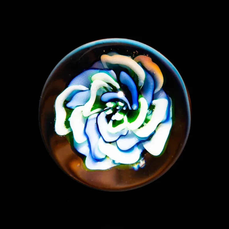 stokedct2822862